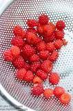 What do you do with wineberries?