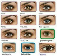 All About The Human Eye Color Chart Coloured Contact