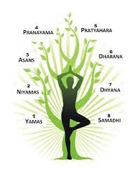 the eight limbs of yoga ashtanga yoga