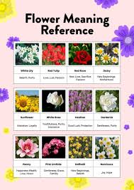 flower meaning reference chart in