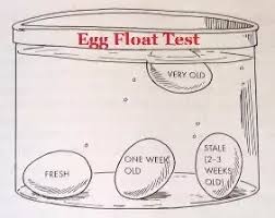 Fresh eggs will have thick, slightly opaque whites; How To Distinguish Between A Rotten Egg And A Fresh Egg Quora