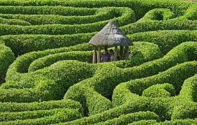 glendurgan garden maze mawnan smith