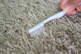 how to clean up spilled milk on carpet
