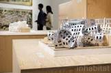 frank gehry models - Google Search