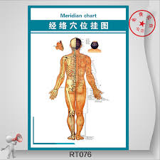 Buy Standard Body Acupuncture Points Acupuncture Flipchart
