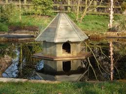 The actual duck shelter is 3'x5' (15ft square). Wooden Bespoke Duck Housess Duncombe Sawmill Local And Uk Delivery From Yorkshire