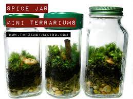Tutorial Spice Jar Mini Terrariums