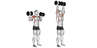 muscle building full body workout plan