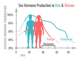Sex Drive Age Chart At What Age Does A Womens Sexual Urge