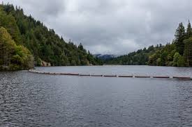 Maybe you would like to learn more about one of these? Loch Lomond Santa Cruz S Awesome Hidden Lake Visit Santa Cruz County