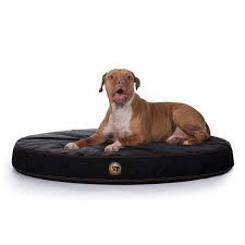 Chew Proof Beds For Dogs Chew