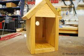 Window Bird House Nestbox