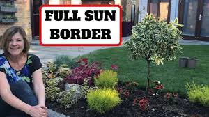 full sun border you