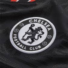 Did you scroll all this way to get facts about chelsea fc? Men S Chelsea Fc 19 20 Vapor Match Third Jersey Niky S Sports