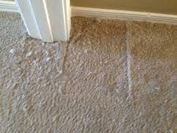 pet damage phoenix carpet repair