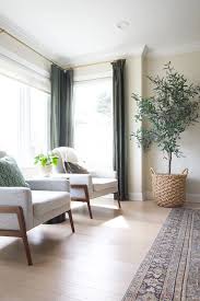 organic modern living room style the