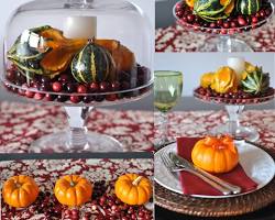 Pumpkins and gourds thanksgiving decoration