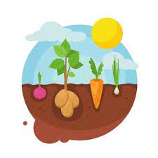 Growing Vegetables Vector Art Icons