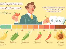 Hot Chile Peppers On The Scoville Scale