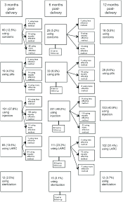Flow Diagram Of Contraceptive Method Use And Switching Among