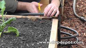 Cut your drip tape to length and lay them on your garden beds with the holes facing up. How To Install A Drip Irrigation System In Raised Beds Youtube
