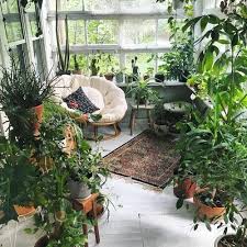 Outdoor Balcony Plant Ideas The