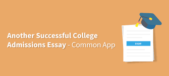 Accepted     Successful College Admission Essays by Gen Tanabe        Terrific Pieces of Advice for Writing College Application Essays    HuffPost