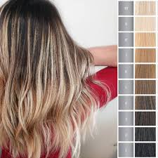 hair color chart guide with hair levels