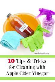 cleaning with apple cider vinegar