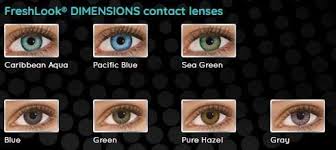 freshlook contact lenses with solution