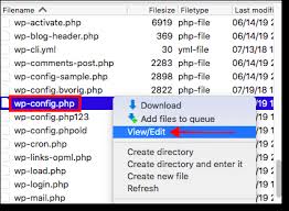 how to edit the wp config php file