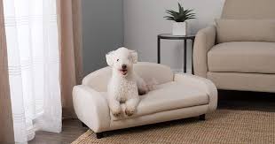 dog couch beds 7 cly sofa style