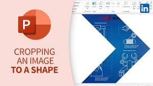 powerpoint tutorial cropping an image