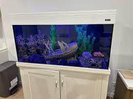 Fish Tank 4 Ft Aqua One Entertainment