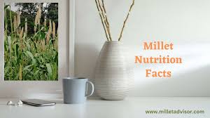 if you read one millet nutrition facts