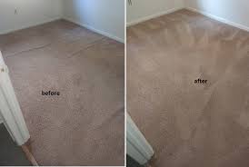 carpet cleaners and stain removal
