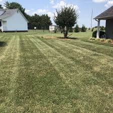 Scruggs Lawn And Landscape Chesnee