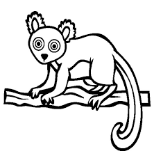 You can give the lemur pictures to color from the lower level of. African Lemur Coloring Page Color Luna