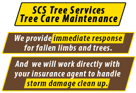 Maybe you would like to learn more about one of these? Tree Service Acworth Marietta Kennesaw Woodstock Roswell Ga