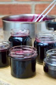 hedgerow jelly the forager s jewel in