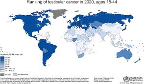 testicular cancer incidence