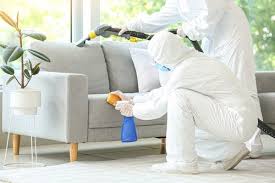 can heat treatment eliminate bedbugs