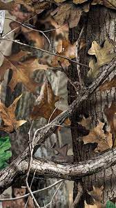 37 realtree camo wallpaper for iphone