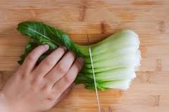 should-you-wash-bok-choy