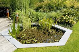 8 Incredible Landscaping Ideas For
