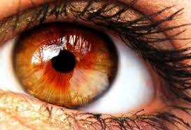 Eye Color Guide The Most Common Eye Colors