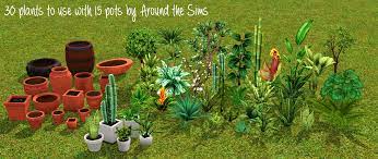 Objects Decorative Pots Plants