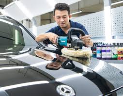 car grooming services in singapore