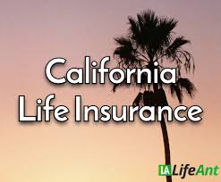 We insure nearly everything you want at affordable prices from major insurance companies. California Life Insurance Best Life Insurance Companies In California