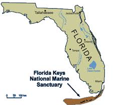 Ecoscenario Florida Keys National Marine Sanctuary